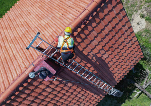 Best Roof Moss and Algae Removal  in Heflin, AL